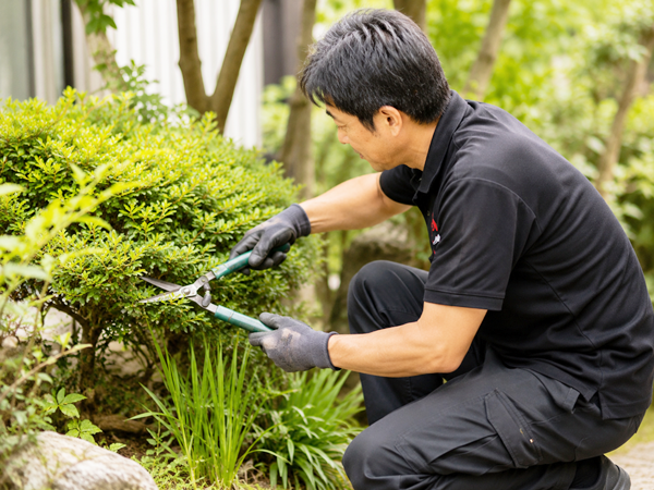 庭木の剪定作業のイメージ